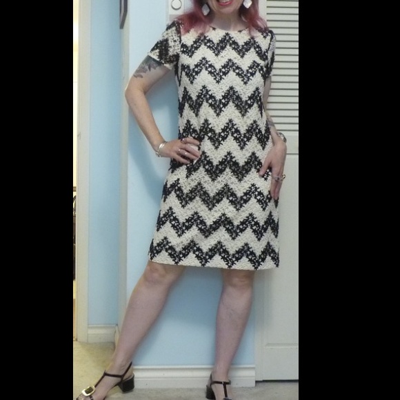 Talbots chevron lace shift dress - Picture 6 of 6